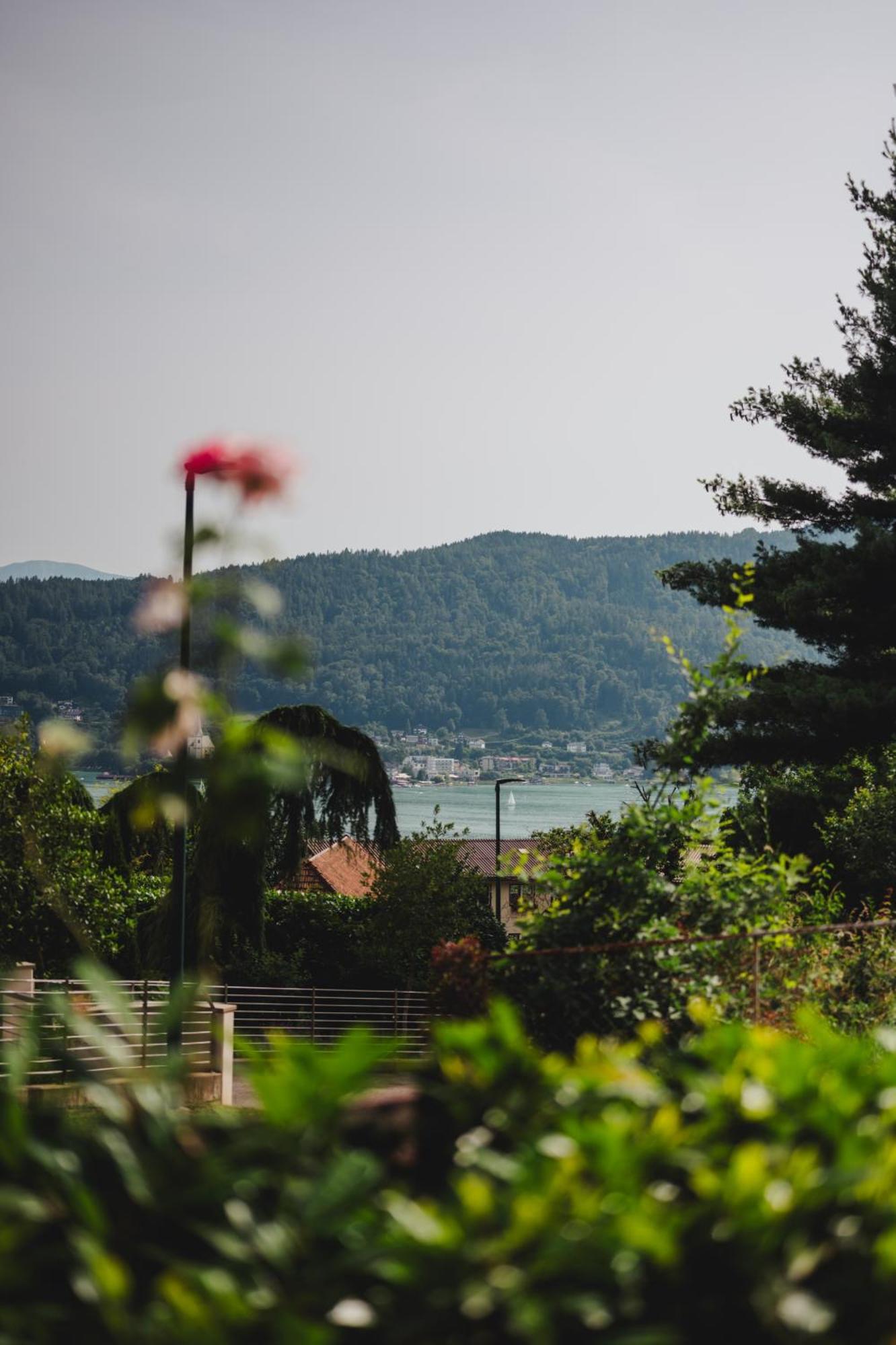 Die Labsalerie - Urlauben am Wörthersee Pörtschach am Wörthersee Exterior foto